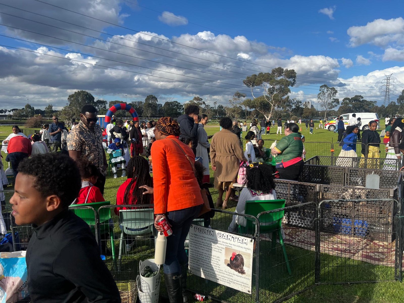 Children gathered around the petting zoo enclosure